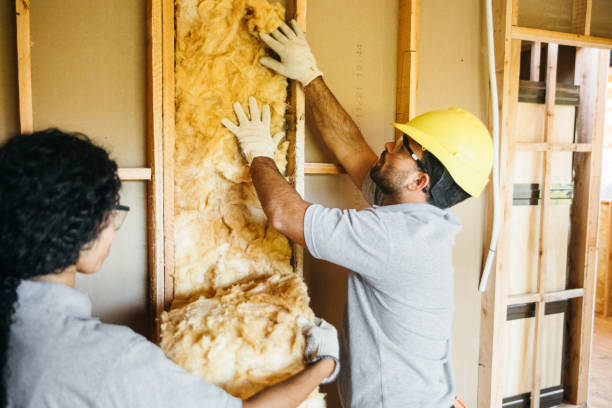 Eco-Friendly or Green Insulation Solutions in Black Earth, WI